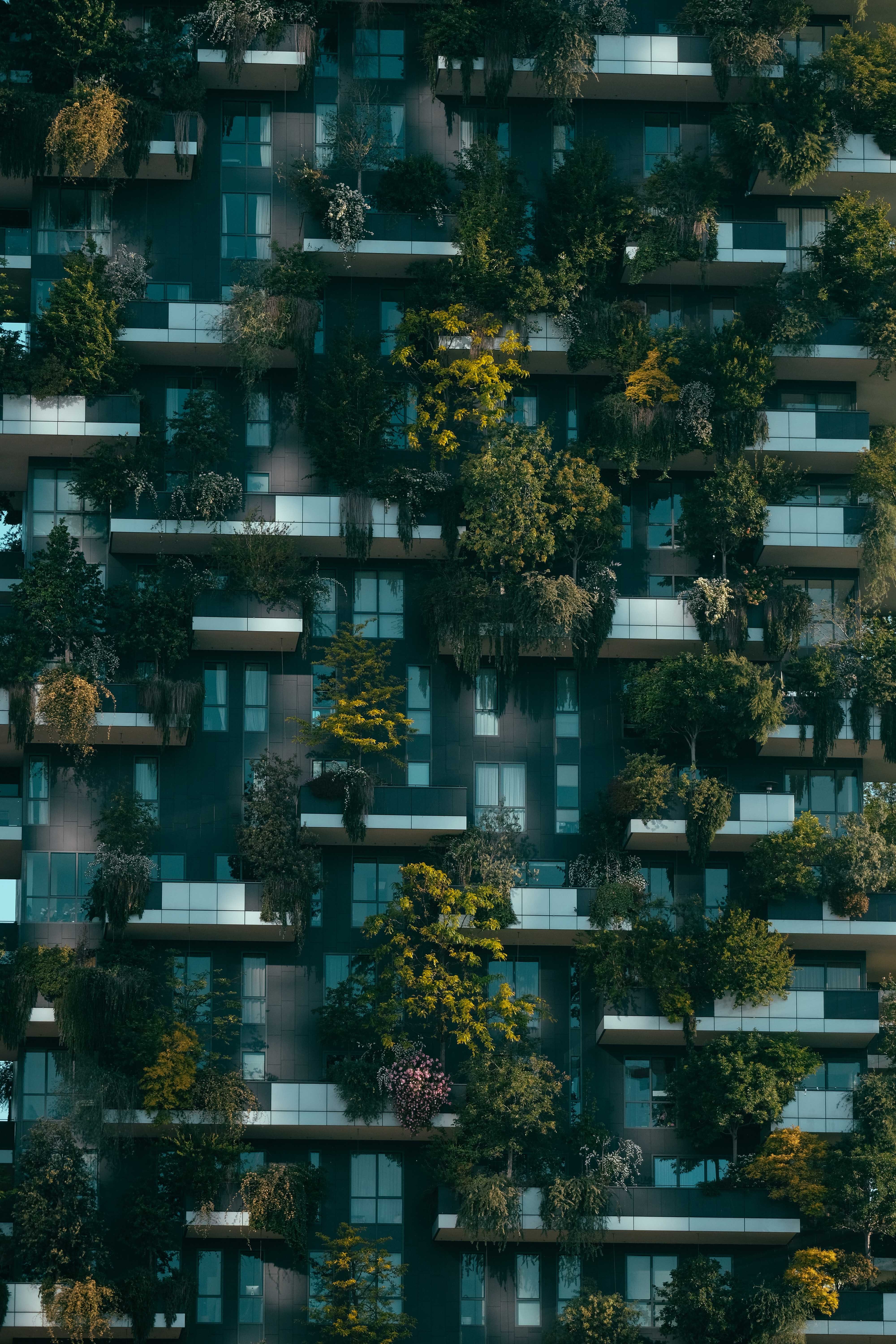 residential construction